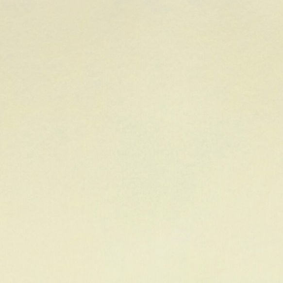 Filz - 2 mm - col no 49 - wollweiss