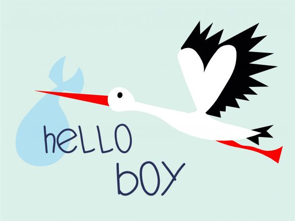 Postkarte - Hello Boy